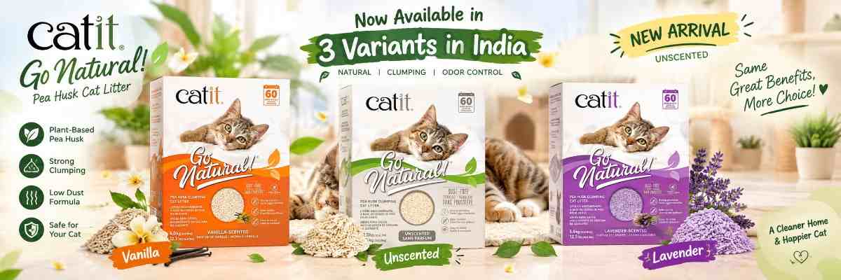 Pea Husk Cat Litter Explained: Why Catit Go Natural Is Becoming a Choice for Modern Cat Parents