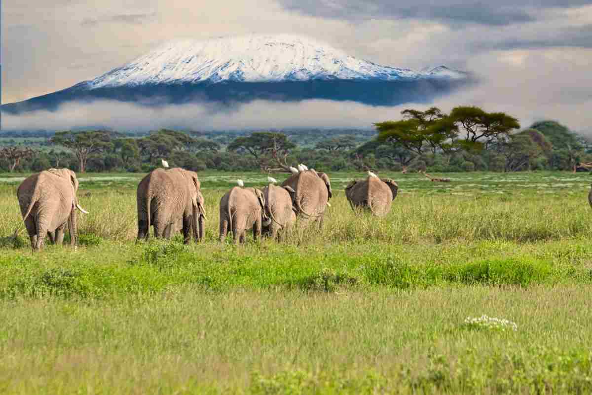 What Are the Best Hiking Experiences to Try in Kenya?