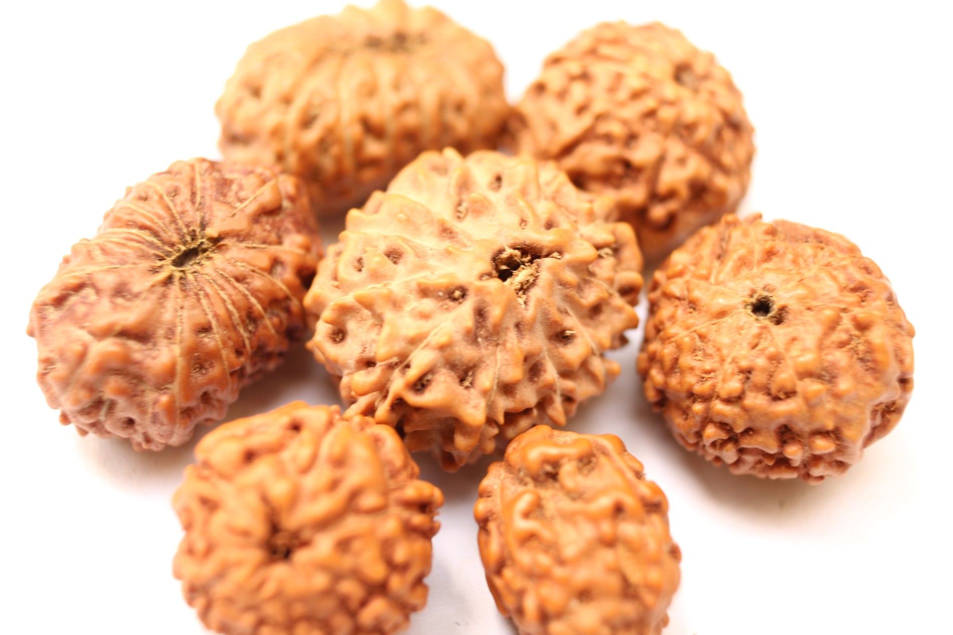 Rudraksha Malas: Meaning, Types, Benefits and How to Use Thems