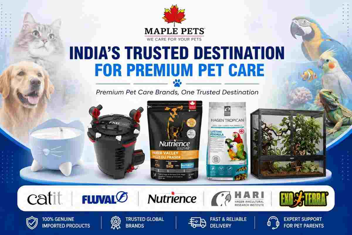 From Cats to Reptiles: How MaplePets Is Building a Complete Pet Care Ecosystem in India