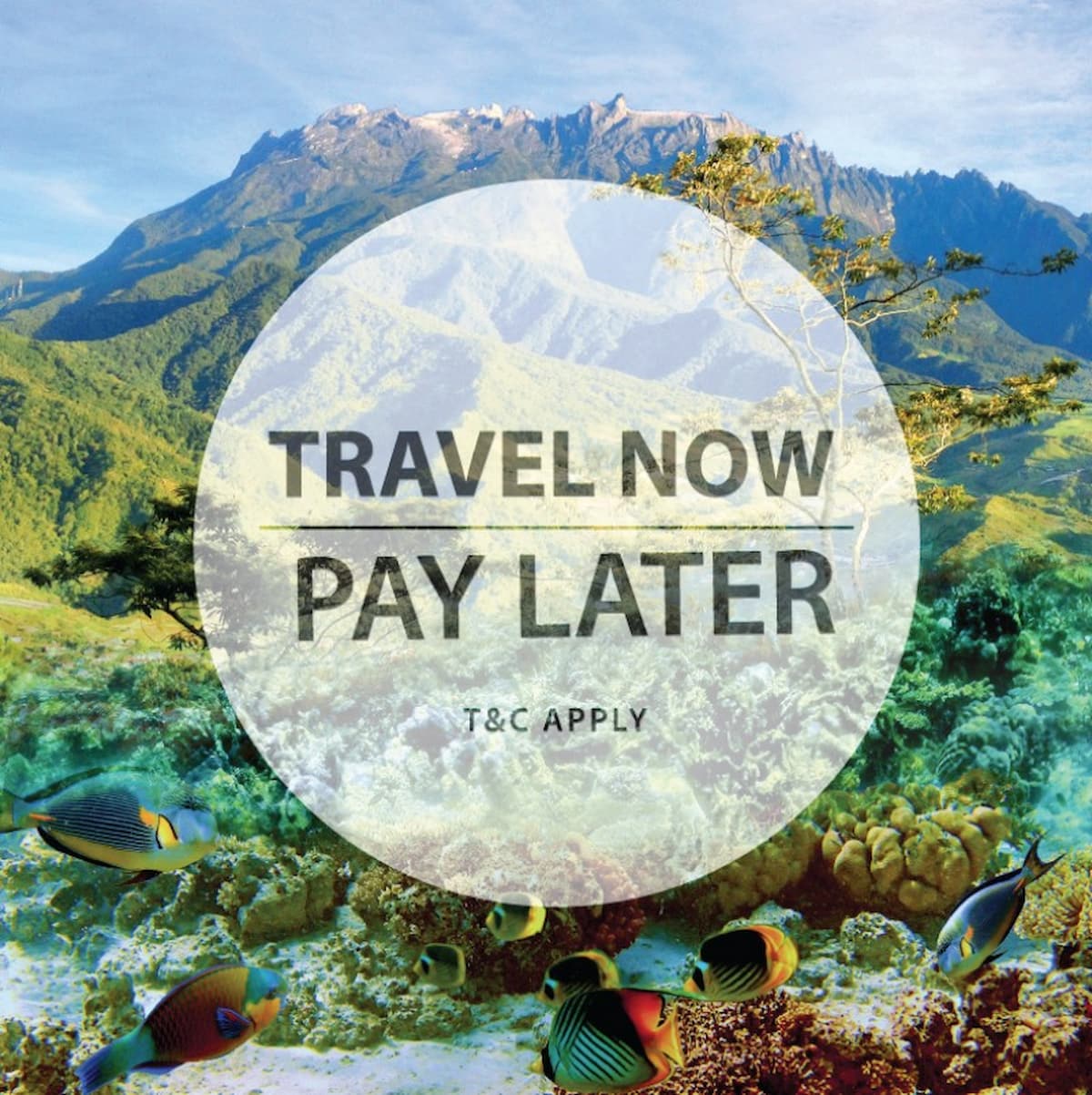 How to Travel and Pay Later: A Simple Booking Guide
