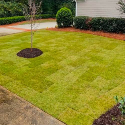 How Can Best Sod Installation Services in Cumming, GA Help Property Owners Choose the Right Local Provider?