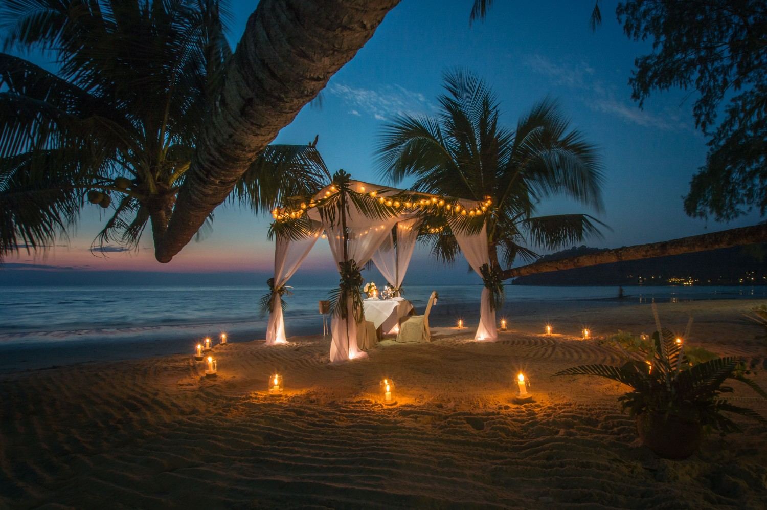 Planning a Beach Party: Ideas, Outfits and Decor for Every Kind of Celebration
