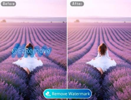 Remove Watermarks from Video and Images Fast
