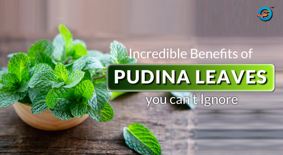 Health Benefits of Mint Leaves