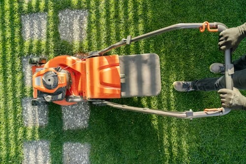 Exterior Cleaning Services Ponchatoula LA: A Guide to a Cleaner Property