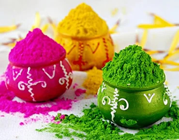 Holi Color Powder Manufacturer in India: Bulk, Wholesale & Private Label