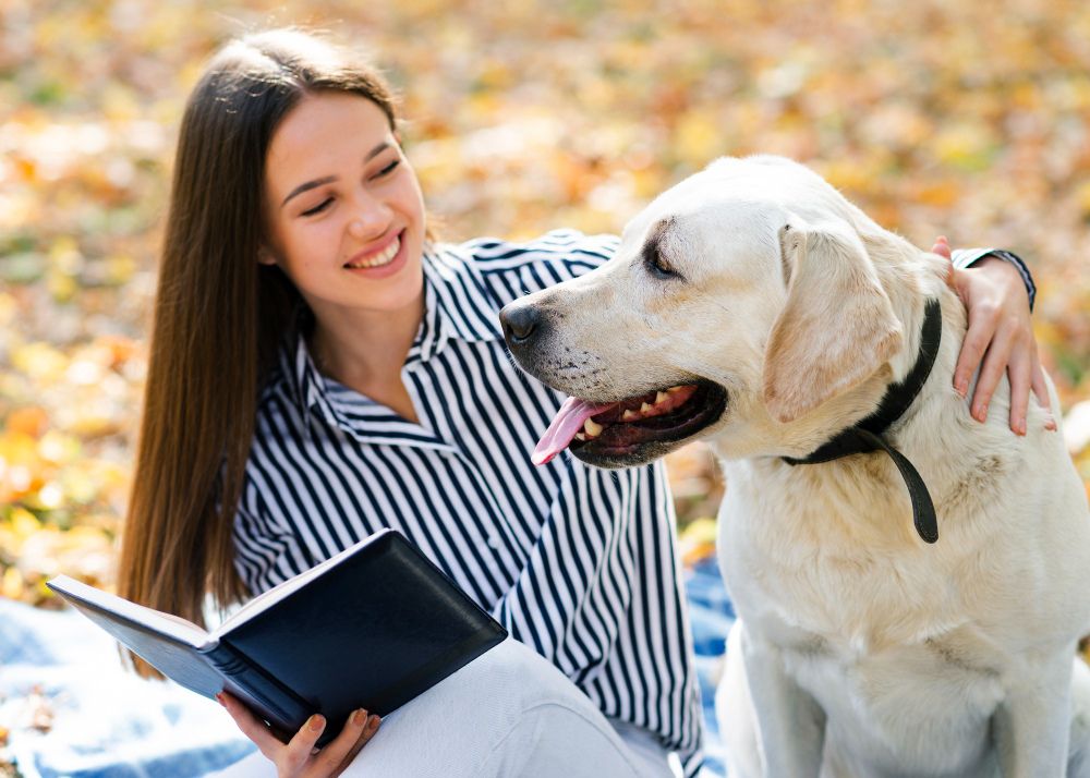 Dog Bite Insurance: What Every Dog Owner Should Know Before Something Goes Wrong