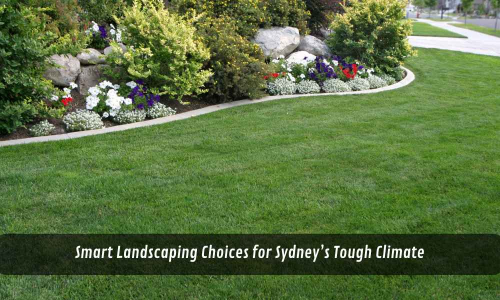 Smart Landscaping Choices for Sydney’s Tough Climate