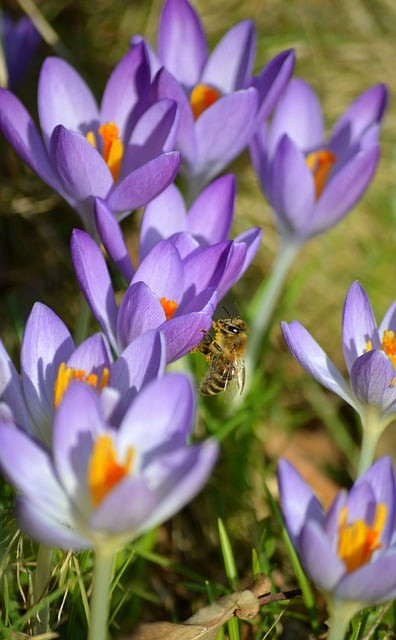 Product Lifecycle Tracker: A Practical Guide to Warranty and End-of-Life Management