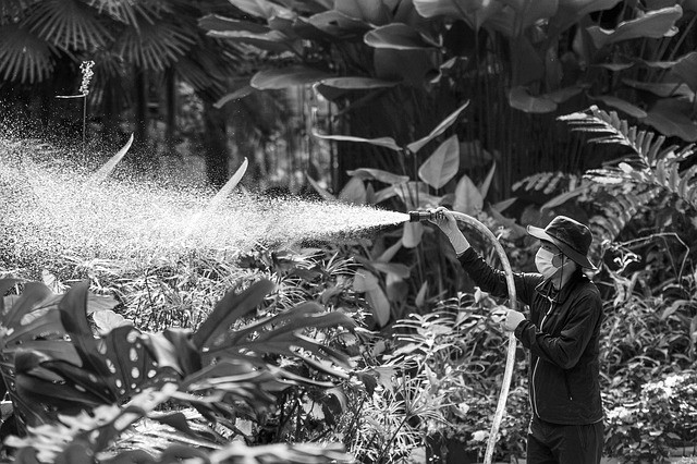 Practical Guide: How to Scale a Business with Systems, Processes, and Growth Planning