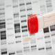 Dubai DNA: Exploring Your Ancestry Through Genetic Testing
