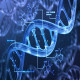 Japan Epigenetics Market Trends, Share, Growth, Leading Companies, Trends, and Outlook Report 2024-2032