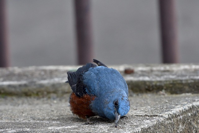 Presgera vs Natural Methods: What Works Faster?