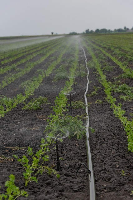 Practical Guide: Irrigation Water Usage Calculator for Efficient Farm Irrigation
