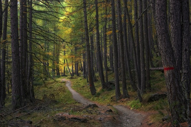 Practical Gurbani Path Guide for Daily Sikh Prayer (Nitnem Routine)