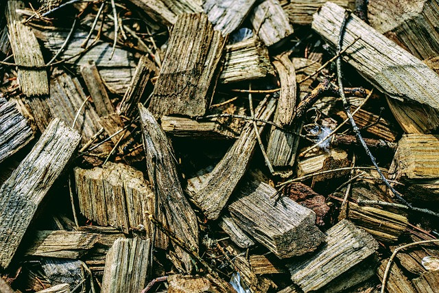 Batch Image Generation with AI: Practical Step-by-Step Workflow