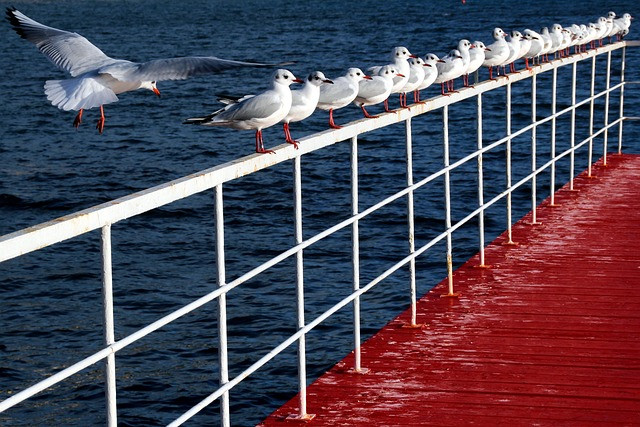 Midjourney Tutorial for Beginners: Step-by-Step Guide to AI Image Prompts