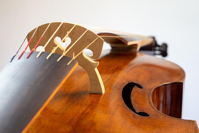 Gut Health Fundamentals: Practical Guide to Digestion, Microbiome, and Whole-Body Wellness