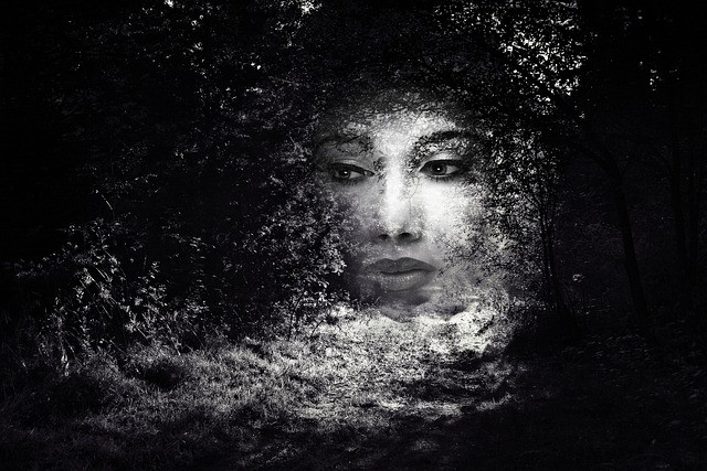 How to Choose and Use a Photo Editing Tool for Social Media and Content Creation