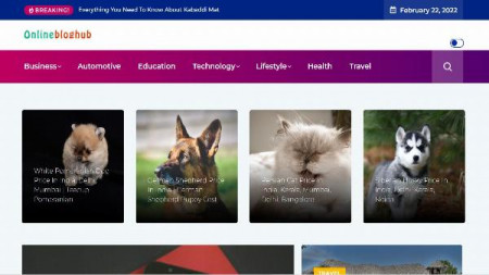 Onlinebloghub