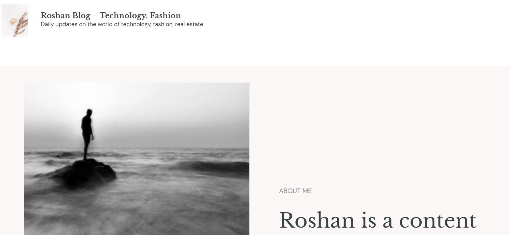 Roshan Blog