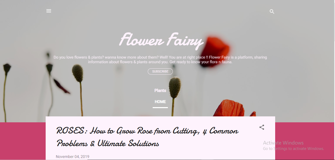 Flower fairy