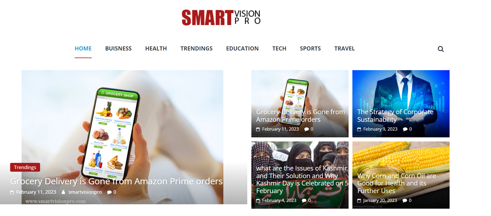 Smart Vision Pro