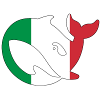 deepseekitaliano
