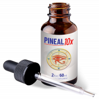 Pineal