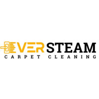 EVER STEAM