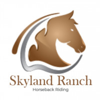 Skyland 