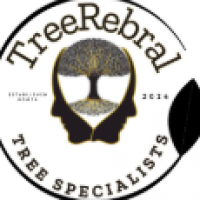 Tree Rebral