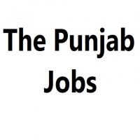 The Punjab Jobs