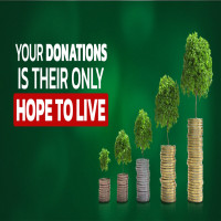 Aleemdar Foundation
