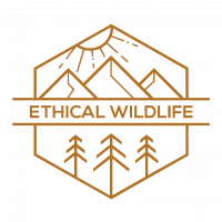 Ethical Wildlife