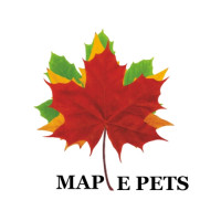 Maplepets International