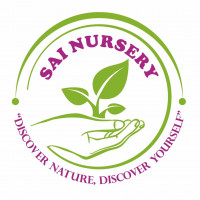 Sai Nursery