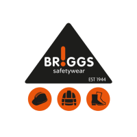 Briggs Wear Wear