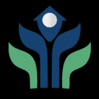 Florida Home Insurance Estimate