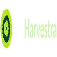 Biz Harvestra | SEO Services in Islamabad