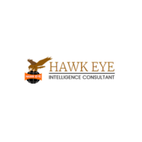 Hawkeye Detective
