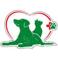 Jurupa Hills Animal Hospital