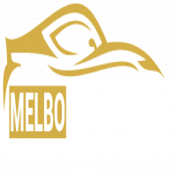 melbo chauffeur