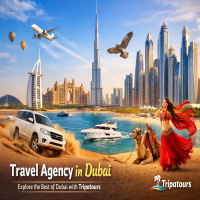 travellagencydubaii