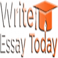 write essay today