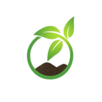 Soil and Seed Landscaping