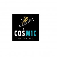 Cosmic Performance
