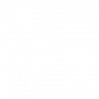 DIGITAL FRY - Digital Marketing & Social Media Marketing Company in Jaipur