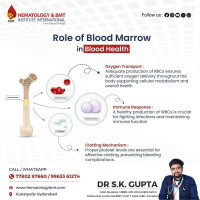 hematology hospital